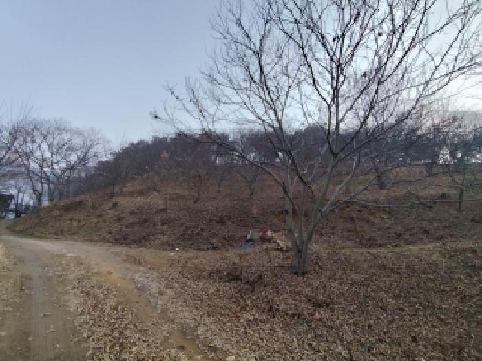충남 서천군 시초면 임야 경매 물건 사진 3 · 2025타경16206