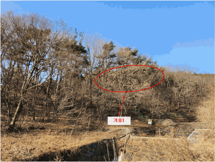 충남 홍성군 홍북읍 임야 경매 물건 사진 5 · 2025타경16214