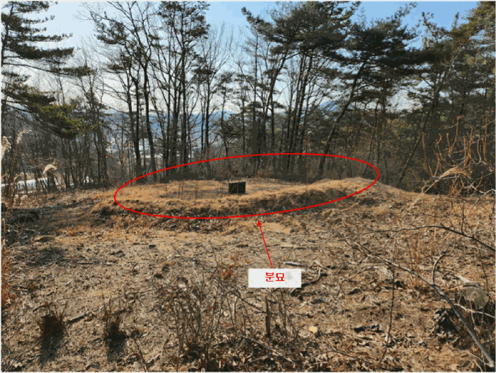 충남 홍성군 홍북읍 임야 경매 물건 사진 6 · 2025타경16214