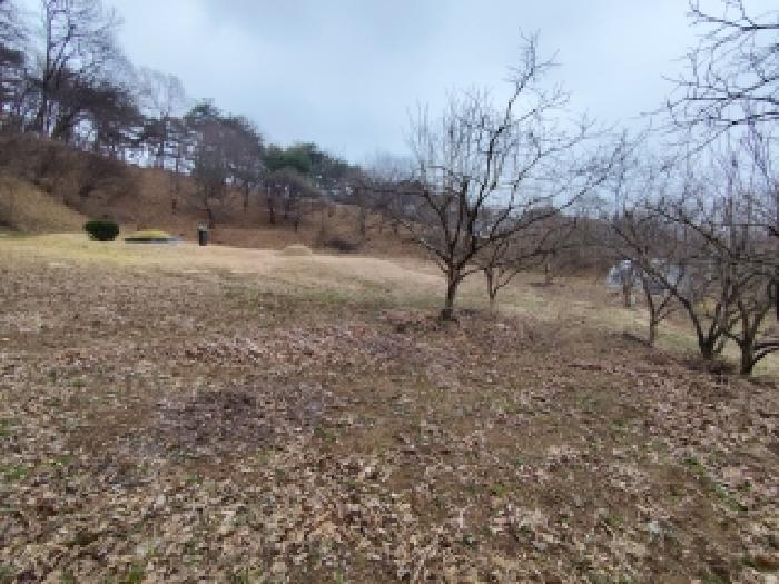 충남 보령시 청라면 대지,임야,전답 경매 물건 사진
