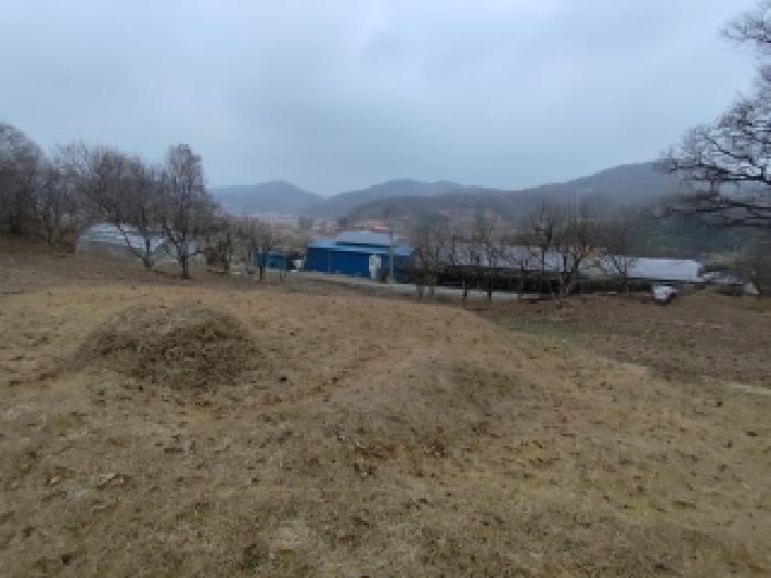 충남 보령시 청라면 대지,임야,전답 경매 물건 사진 3 · 2025타경16222