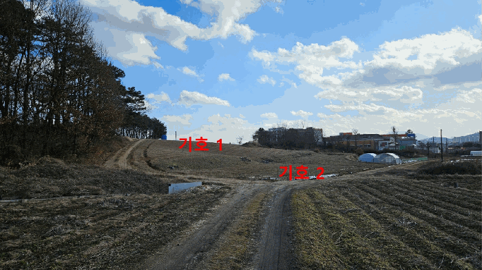 충남 홍성군 홍성읍 전 경매 물건 사진 6 · 2025타경16227
