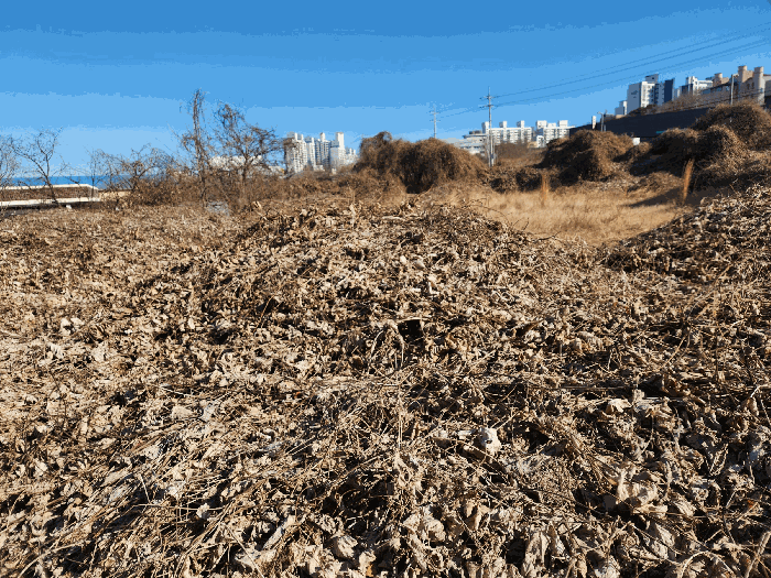 충남 홍성군 홍성읍 대지,임야,전답 경매 물건 사진 4 · 2025타경16228
