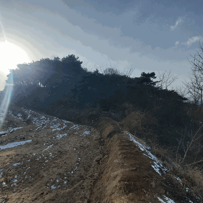 충남 예산군 삽교읍 대지,임야,전답 경매 물건 사진 3 · 2025타경16229