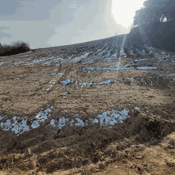 충남 예산군 삽교읍 대지,임야,전답 경매 물건 사진 4 · 2025타경16229