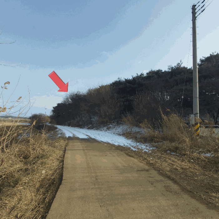 충남 예산군 삽교읍 대지,임야,전답 경매 물건 사진 6 · 2025타경16229