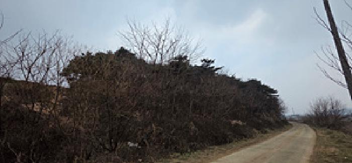 충남 예산군 삽교읍 대지,임야,전답 경매 물건 사진