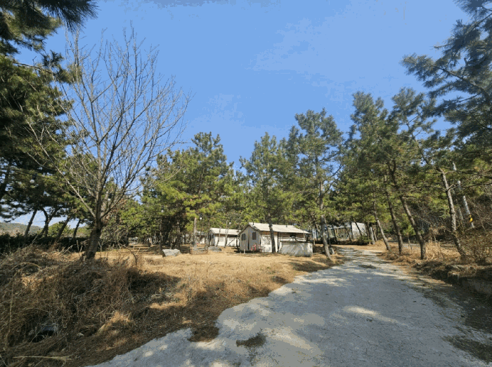 충남 서천군 서면 근린생활시설 경매 물건 사진 5 · 2025타경535