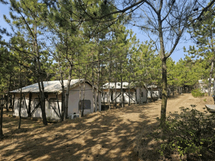 충남 서천군 서면 근린생활시설 경매 물건 사진 6 · 2025타경535