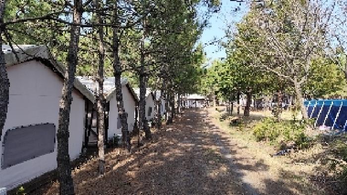 충남 서천군 서면 근린생활시설 경매 물건 사진