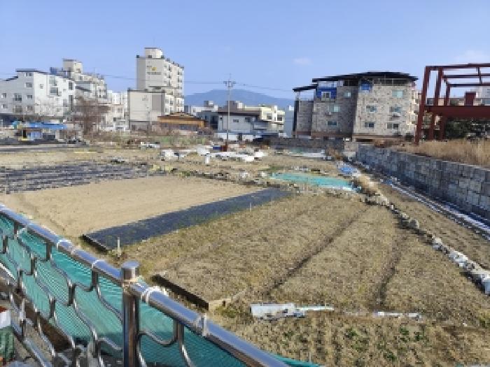 충남 보령시 대천동 전답 경매 물건 사진 3 · 2026타경15032