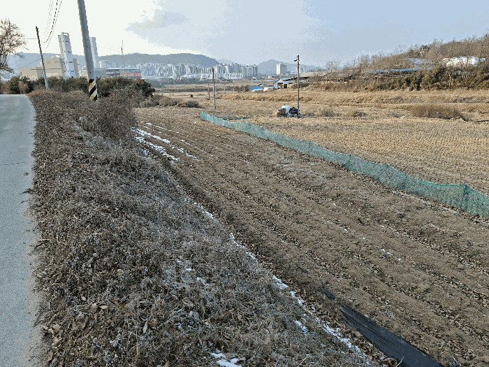 충남 홍성군 홍북읍 대지,임야,전답 경매 물건 사진 6 · 2026타경15033