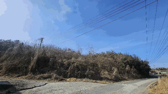 충남 보령시 오천면 임야 경매 물건 사진 2 · 2026타경15066