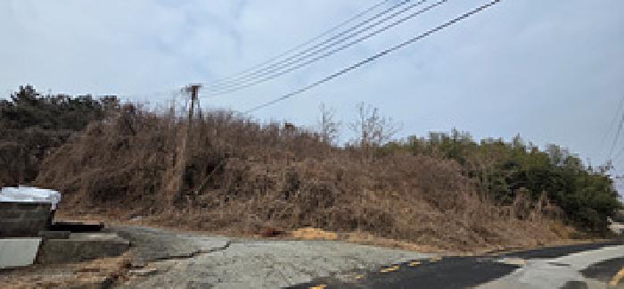 충남 보령시 오천면 임야 경매 물건 사진