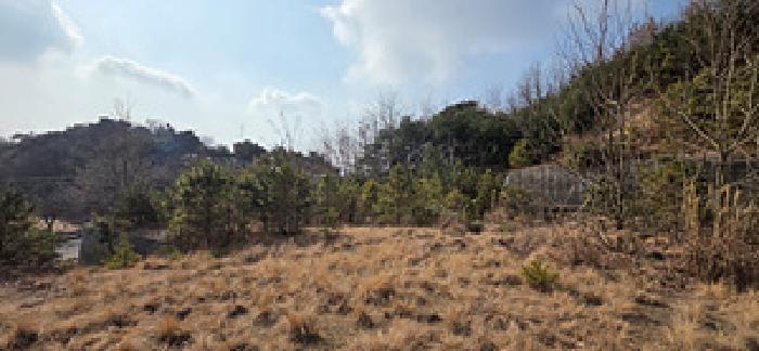 충남 예산군 덕산면 대지,임야,전답 경매 물건 사진