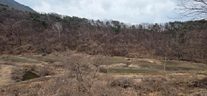 충남 예산군 덕산면 전답 경매 물건 사진