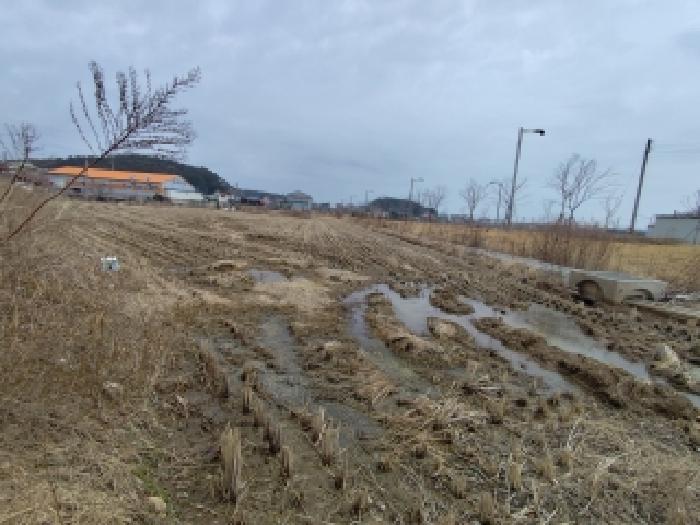충남 서천군 서면 대지,임야,전답 경매 물건 사진