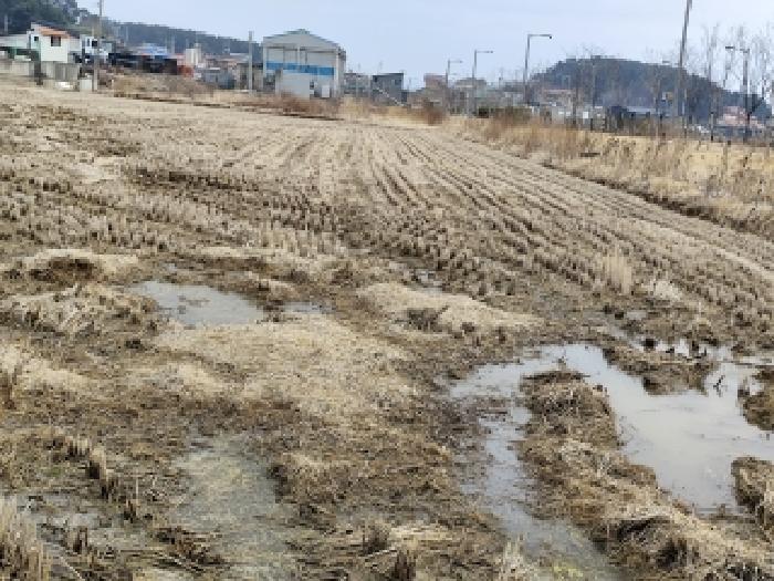 충남 서천군 서면 대지,임야,전답 경매 물건 사진 2 · 2026타경15121