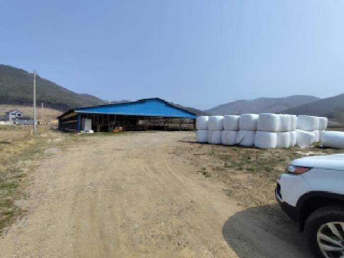 충남 보령시 천북면 대지,임야,전답 경매 물건 사진