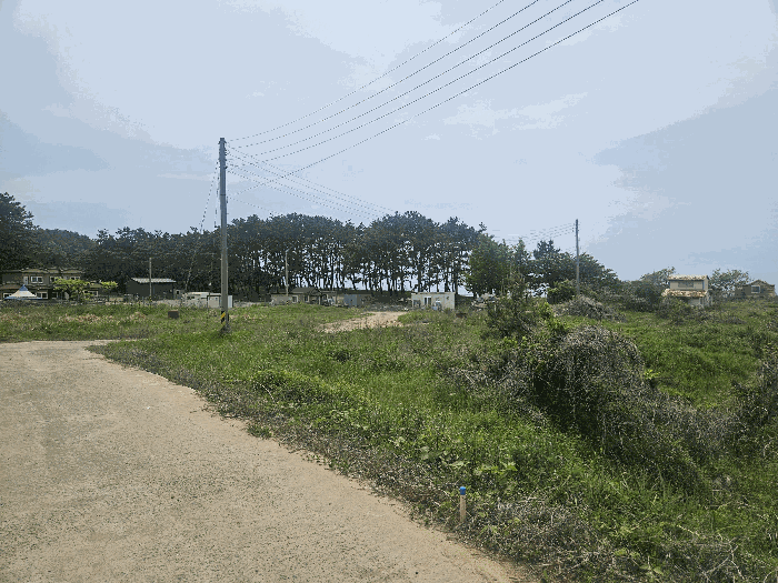 충남 보령시 오천면 대지,임야,전답 경매 물건 사진 4 · 2026타경15281