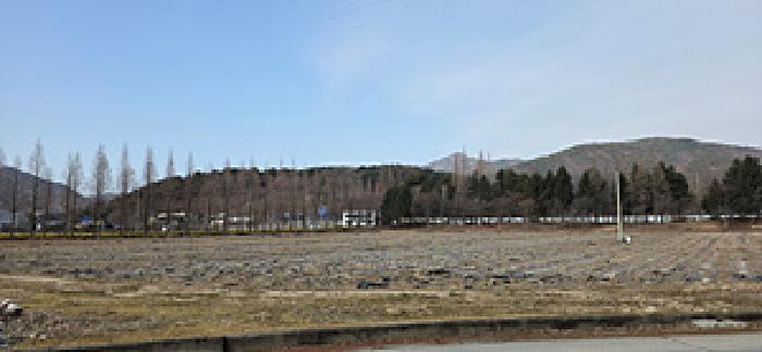 충남 예산군 덕산면 대지 경매 물건 사진