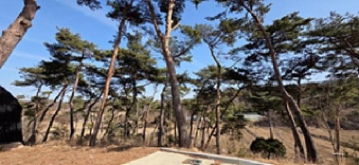 충남 홍성군 홍동면 단독주택 경매 물건 사진 3 · 2026타경34