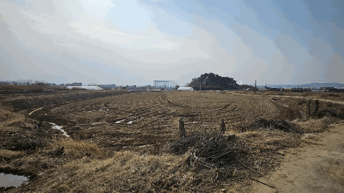충남 예산군 예산읍 전답 경매 물건 사진 4 · 2026타경61