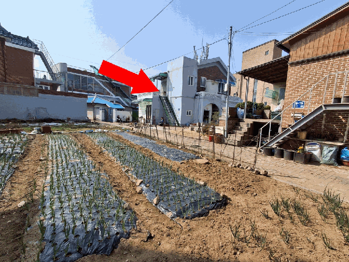 충남 예산군 예산읍 단독주택다가구 경매 물건 사진 6 · 2026타경72
