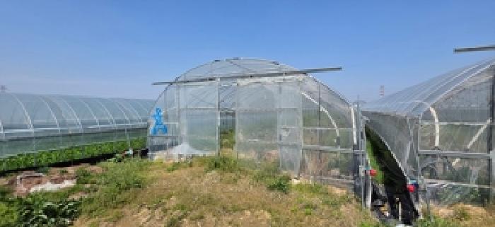 충남 예산군 예산읍 대지,임야,전답 경매 물건 사진 3 · 2026타경84