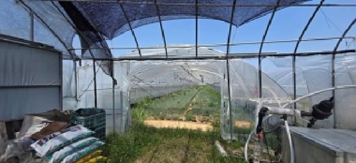 충남 예산군 예산읍 대지,임야,전답 경매 물건 사진 5 · 2026타경84