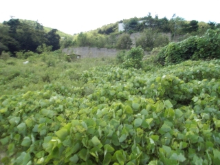 충남 계룡시 엄사면 전답 경매 물건 사진 5 · 2023타경1629