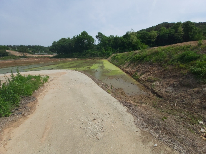 충남 부여군 규암면 전답 경매 물건 사진 3 · 2023타경21197