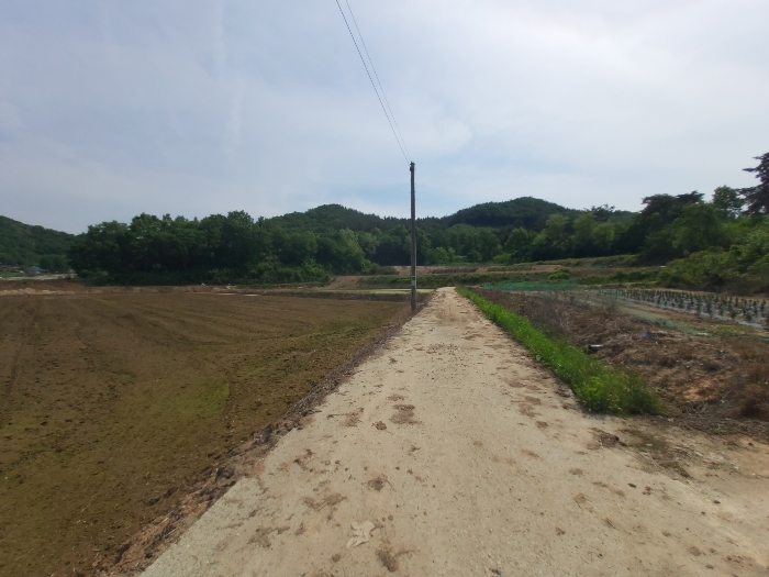 충남 부여군 규암면 전답 경매 물건 사진 4 · 2023타경21197
