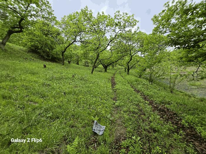 충청남도 부여군 은산면 신대리 266-1 창고시설 경매 물건 사진