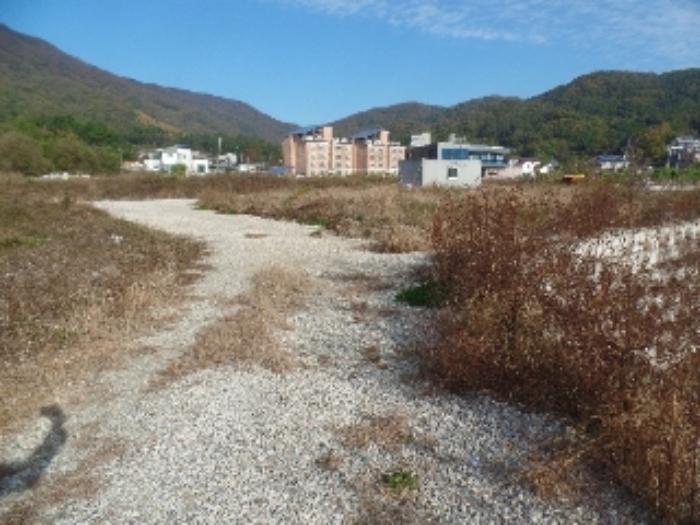 충남 계룡시 엄사면 전답 경매 물건 사진 4 · 2024타경1541