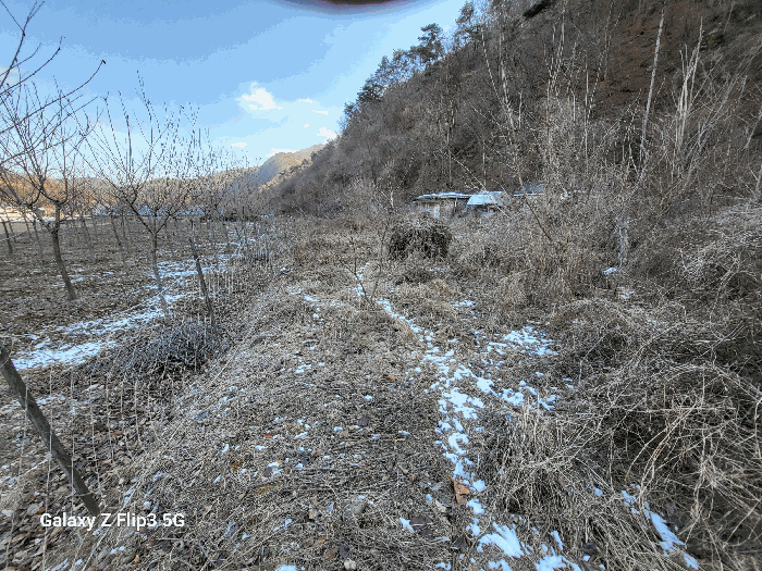 충청남도 논산시 벌곡면 사정리 399 숙박시설 경매 물건 사진