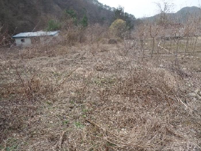 충남 논산시 벌곡면 숙박시설 경매 물건 사진 2 · 2024타경2070