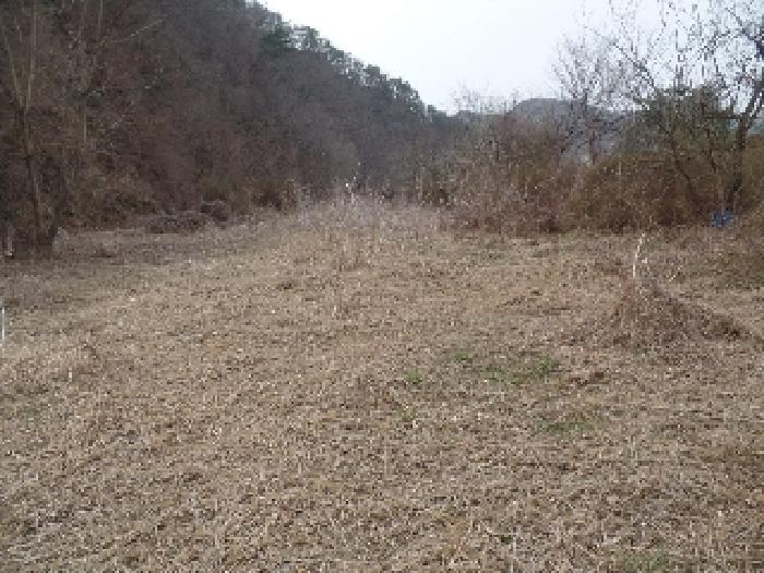 충남 논산시 벌곡면 숙박시설 경매 물건 사진 5 · 2024타경2070