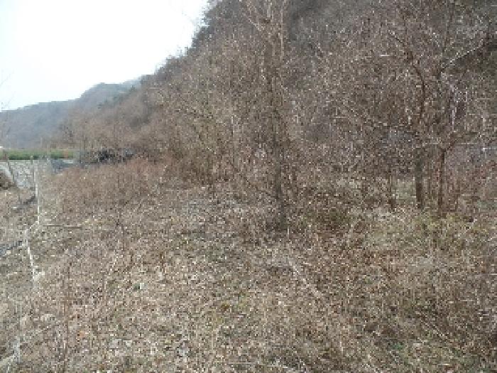 충남 논산시 벌곡면 숙박시설 경매 물건 사진 6 · 2024타경2070