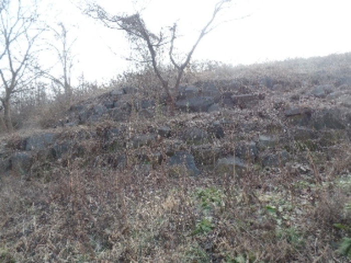 충남 논산시 연산면 임야 경매 물건 사진