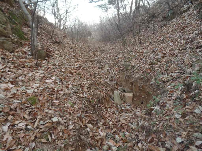 충남 논산시 연산면 임야 경매 물건 사진 4 · 2024타경22906