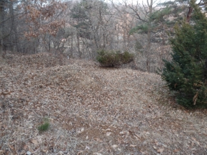 충남 논산시 연산면 임야 경매 물건 사진 5 · 2024타경22906