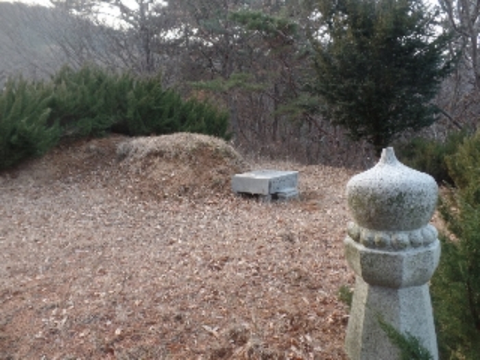 충남 논산시 연산면 임야 경매 물건 사진 6 · 2024타경22906