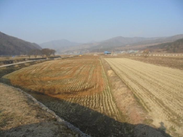 충남 부여군 외산면 답 경매 물건 사진 3 · 2025타경20276