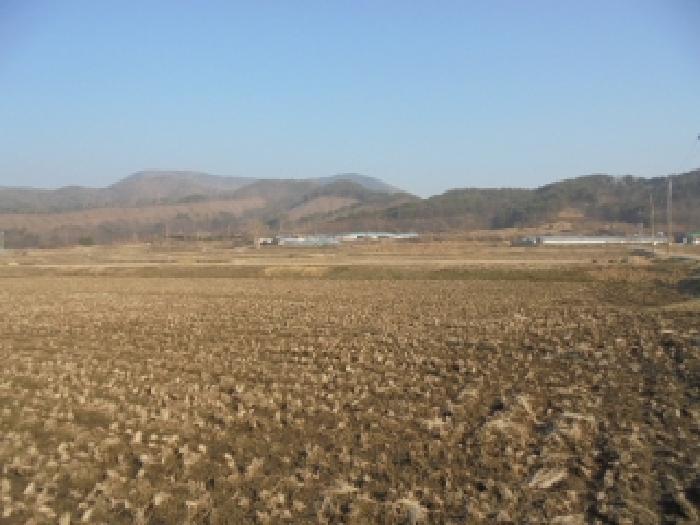 충남 부여군 외산면 답 경매 물건 사진 2 · 2025타경20276