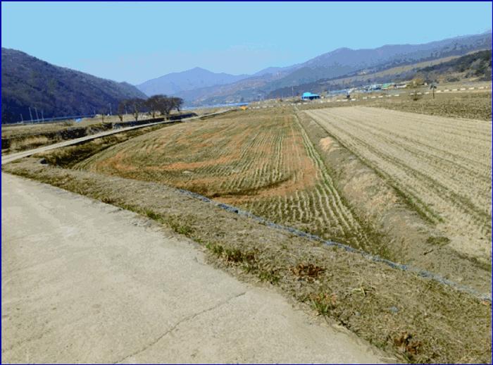 충남 부여군 외산면 답 경매 물건 사진