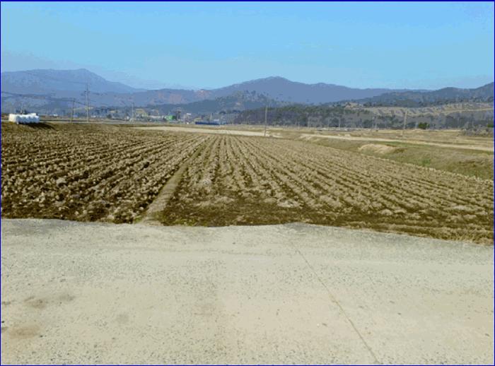 충남 부여군 외산면 답 경매 물건 사진 4 · 2025타경20276