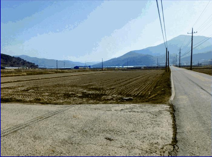 충남 부여군 외산면 답 경매 물건 사진 5 · 2025타경20276