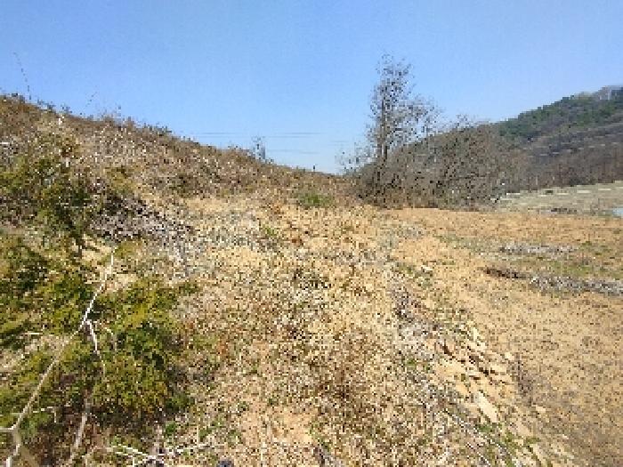 충남 부여군 부여읍 임야 경매 물건 사진 2 · 2025타경20290