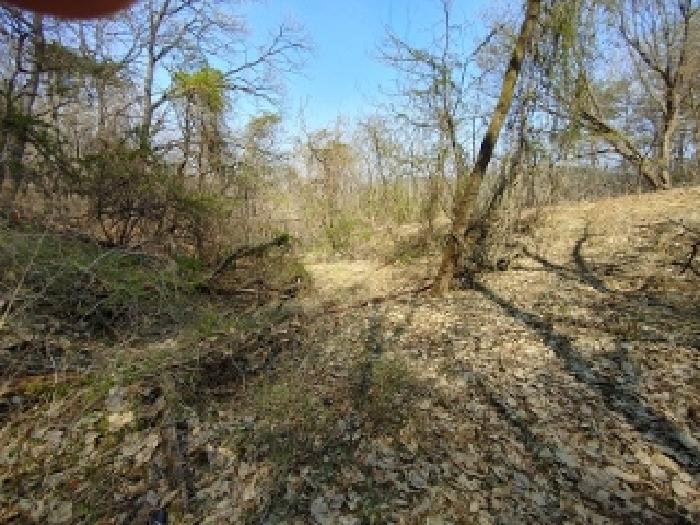 충남 부여군 부여읍 임야 경매 물건 사진 5 · 2025타경20290